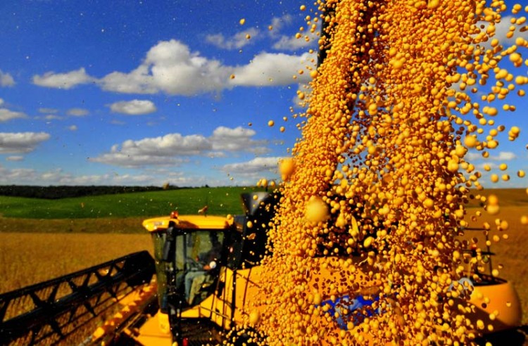 La agroindustria argentina aporta el 70% de los ingresos por exportación